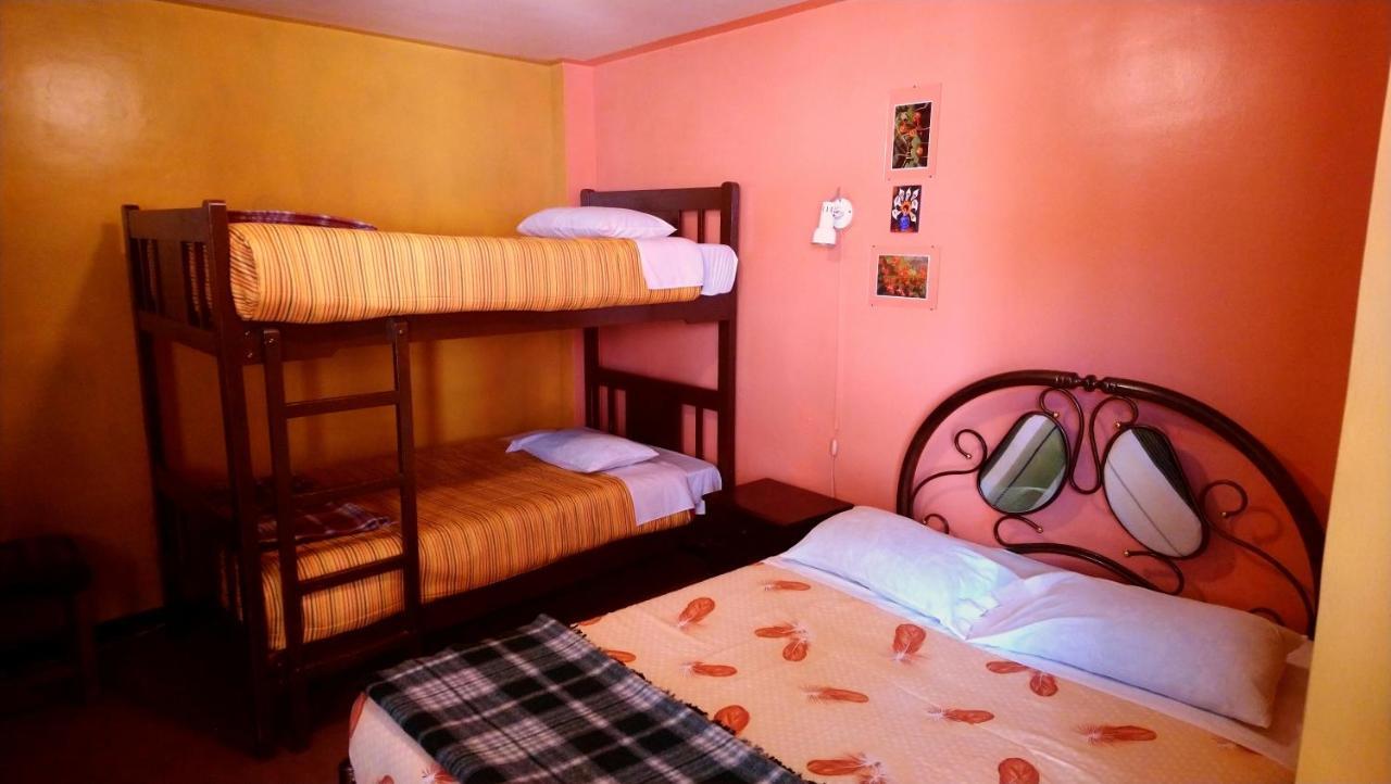 La Casa Del Manzano Hotel Puno Luaran gambar